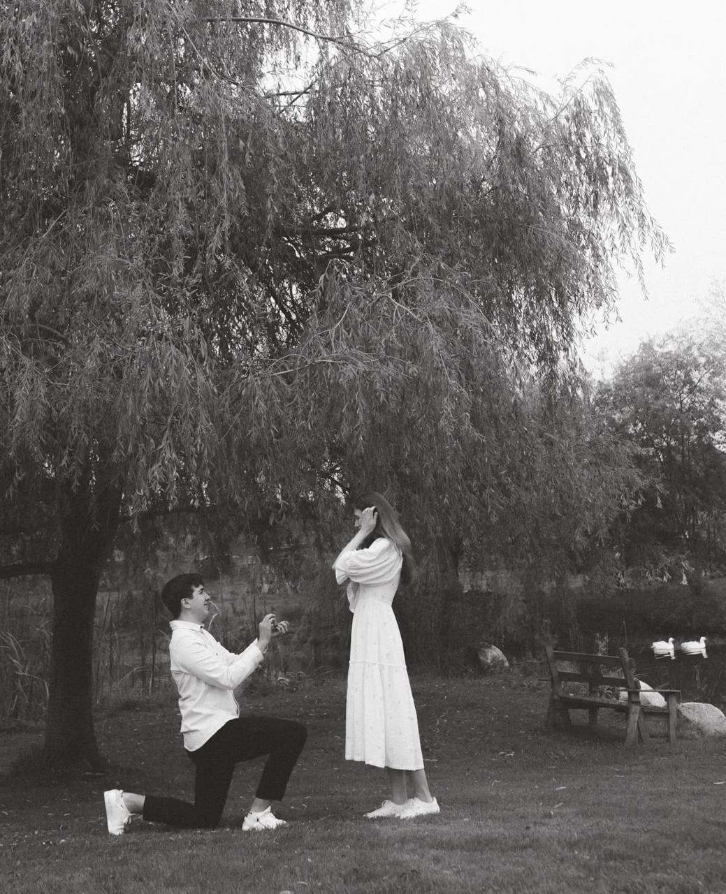 Предложение